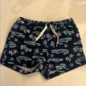 Chubbies boys swim trunks